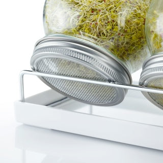 Spireglas, sæt med 2 glas 950 ml, stativ og drænbakke