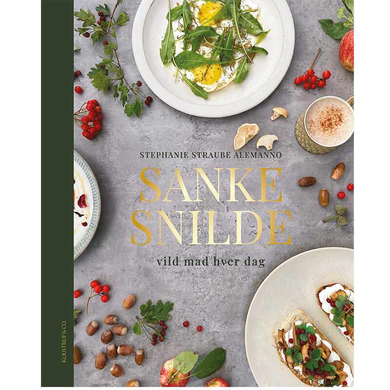 Bog: Sankesnilde - Sankemagi i hverdagen