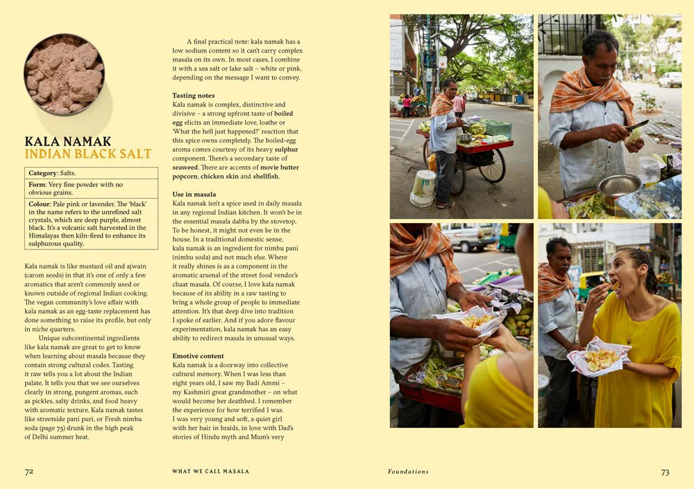 Bog: What We Call Masala – af Sarina Kamini