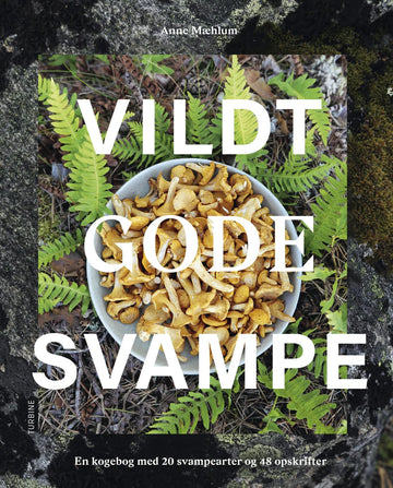 Bog: Vildt Gode Svampe