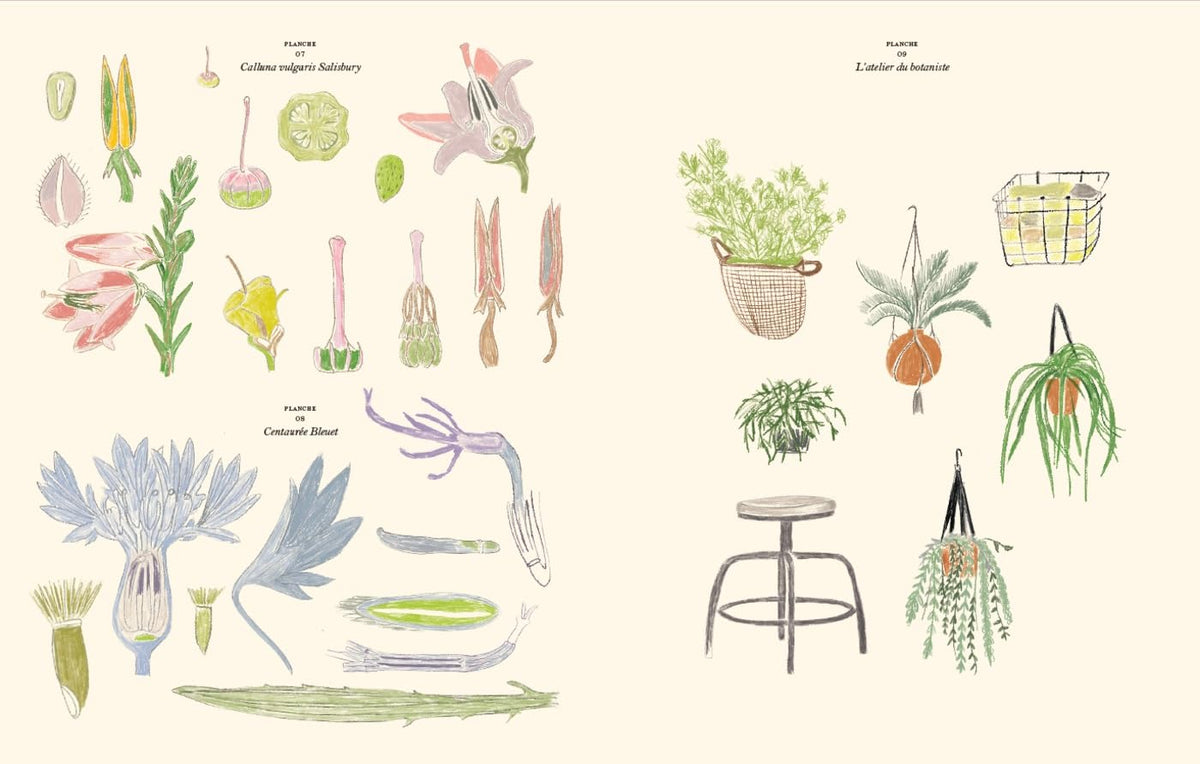 Bog: Le Jardin Coloriages- en malebog også for voksne