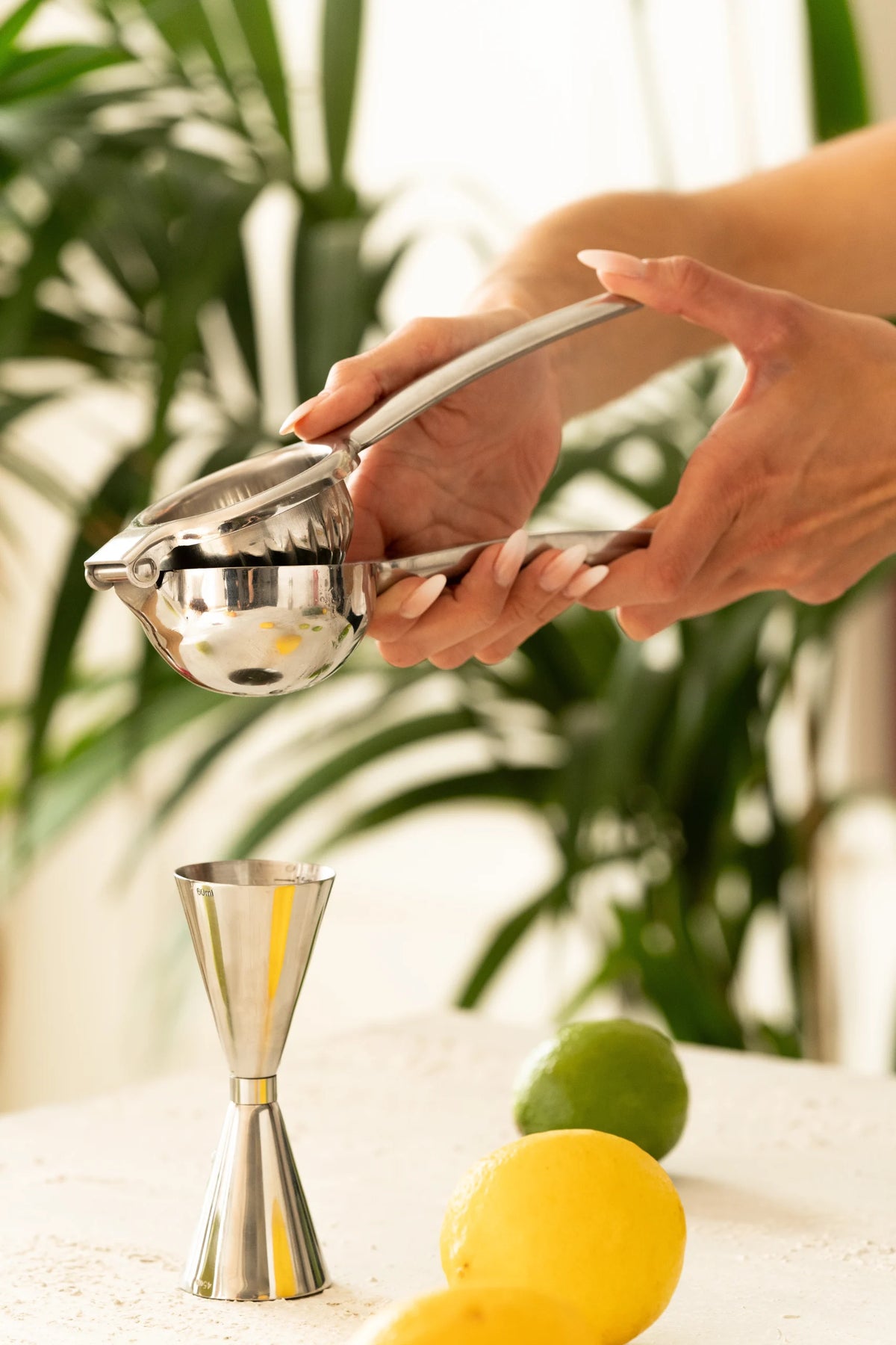 Citruspresse fra Cocktail Club i rustfri stål